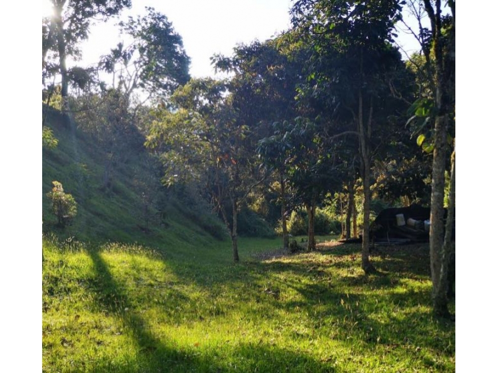 Venta de lote campestre unidad cerrada en el retiro Ant el carrizal — foto 3