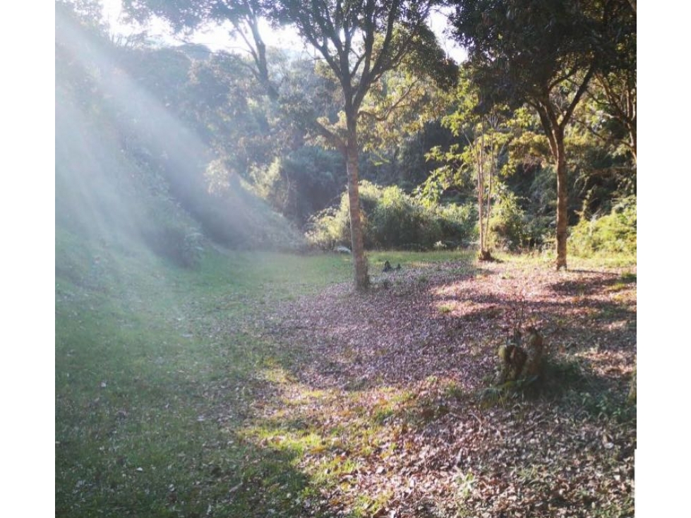 Venta de lote campestre unidad cerrada en el retiro Ant el carrizal — foto 4