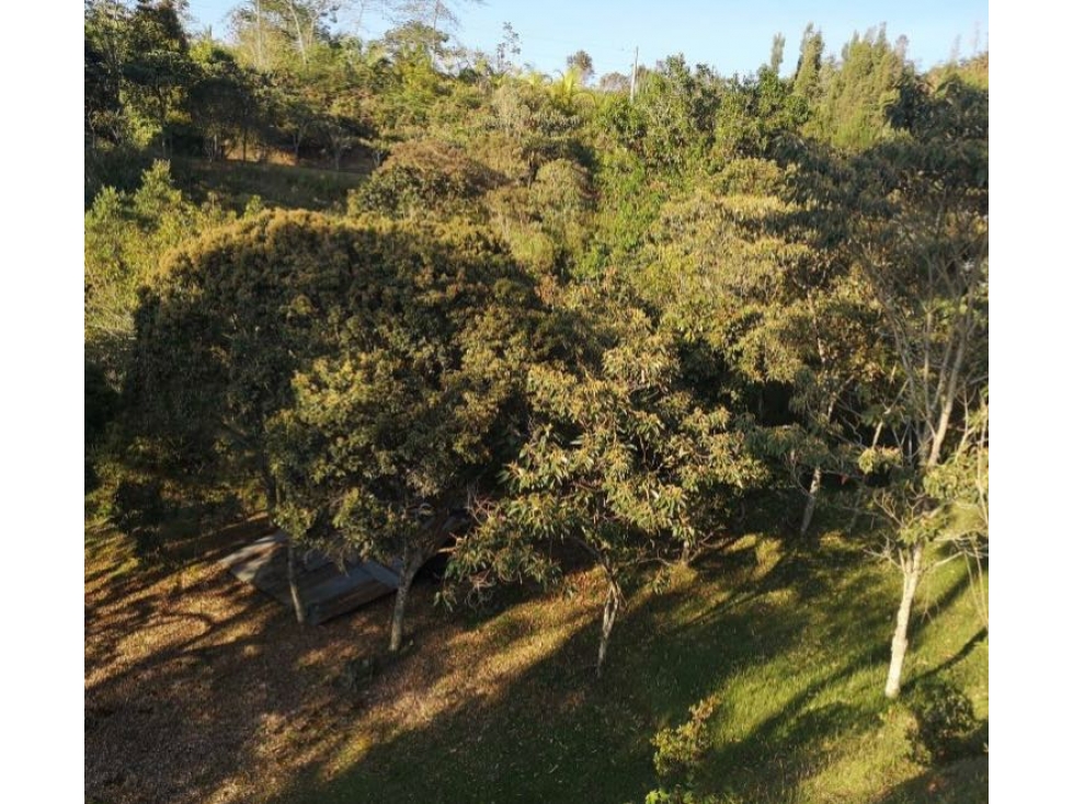 Venta de lote campestre unidad cerrada en el retiro Ant el carrizal — foto 5