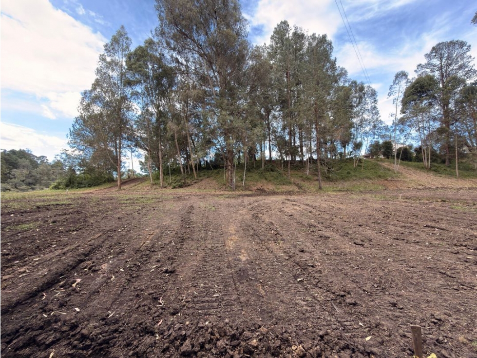Venta de lote campestre unidad cerrada en la ceja antiquísima — foto 2