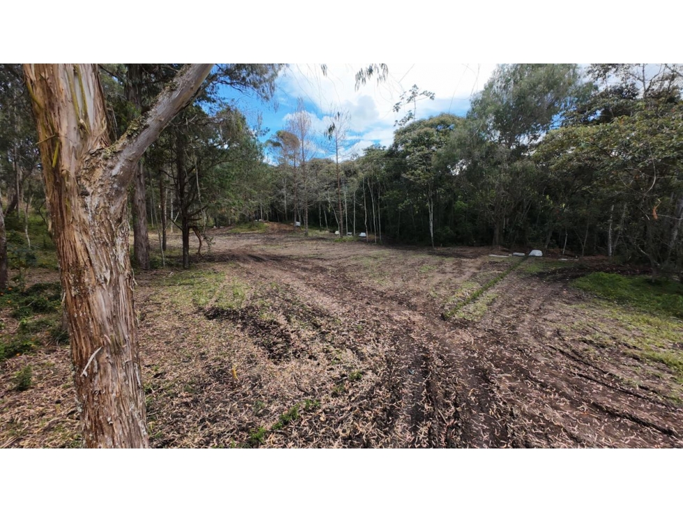 Venta de lote campestre unidad cerrada en la ceja antiquísima — foto 3