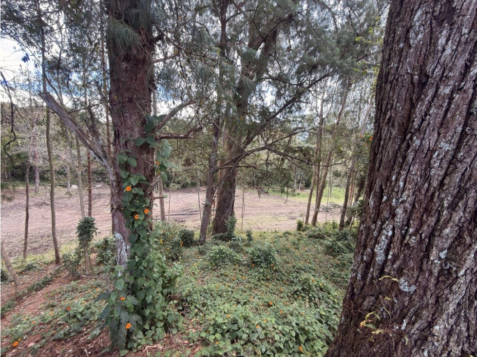 Venta de lote campestre unidad cerrada en la ceja antiquísima — foto 5