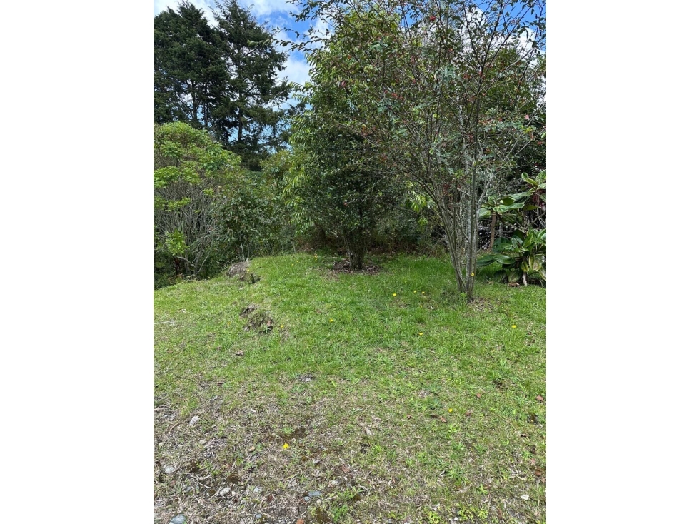 Venta de lote campestre unidad cerrada alto de las palmas la esperanza — foto 4