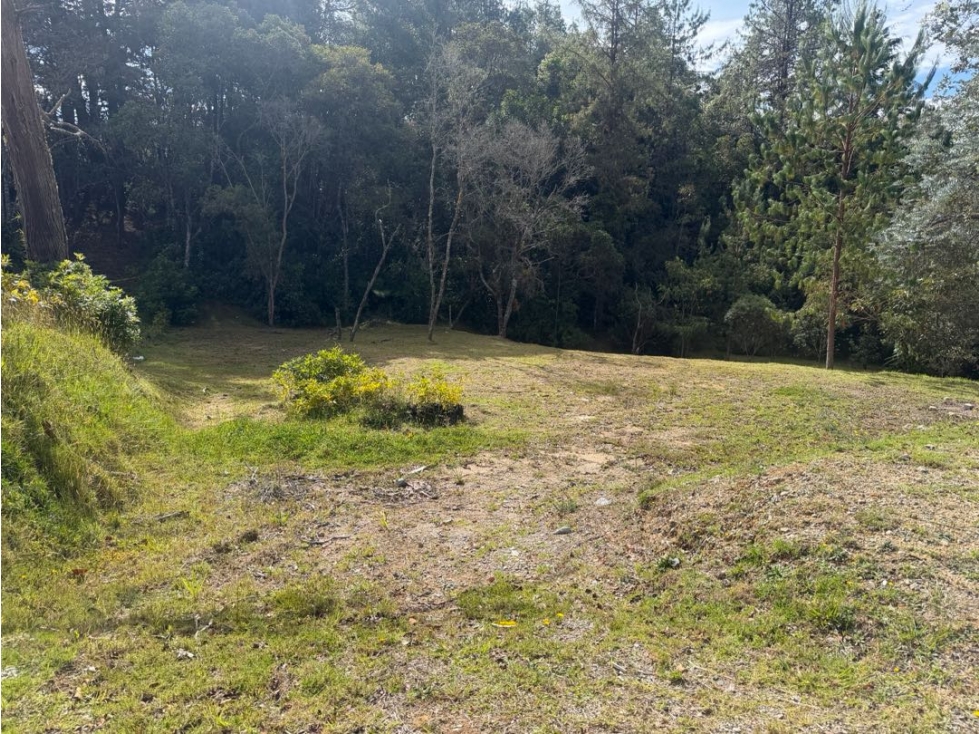 Venta de lote campestre unidad cerrada alto de palmas medellin