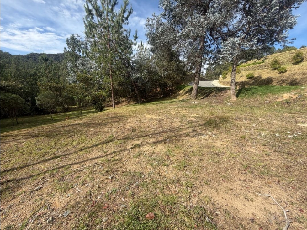 Venta de lote campestre unidad cerrada alto de palmas medellin — foto 3