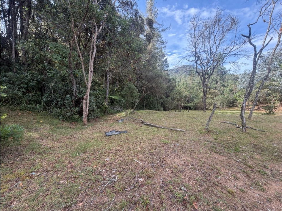 Venta de lote campestre unidad cerrada alto de palmas medellin — foto 4