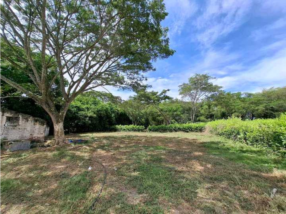VENTA DE LOTE CAMPESTRE ZARAGOZA CARTAGO VALLE - 1
