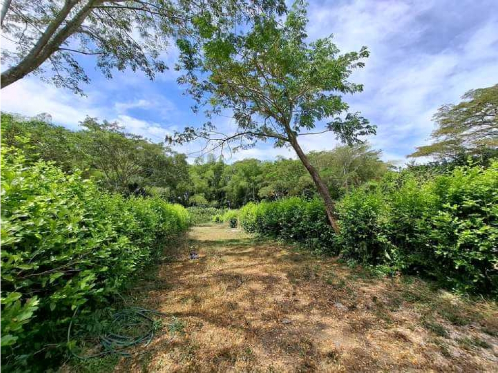 VENTA DE LOTE CAMPESTRE ZARAGOZA CARTAGO VALLE - 3