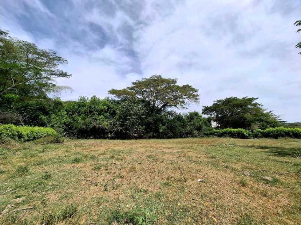 VENTA DE LOTE CAMPESTRE ZARAGOZA CARTAGO VALLE - 4