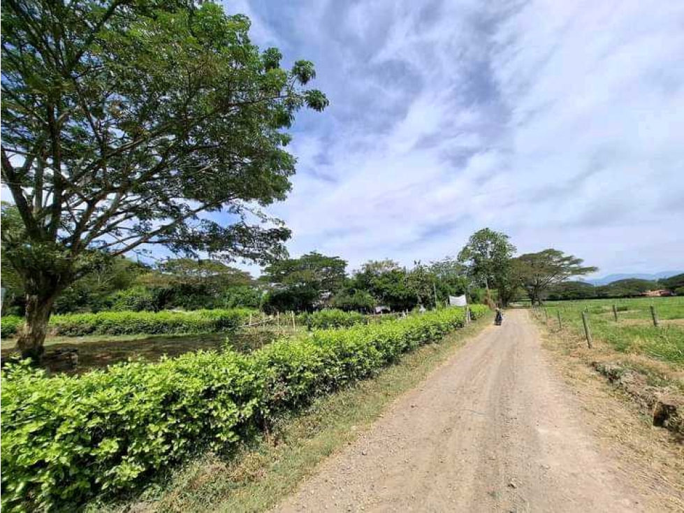 VENTA DE LOTE CAMPESTRE ZARAGOZA CARTAGO VALLE - 5