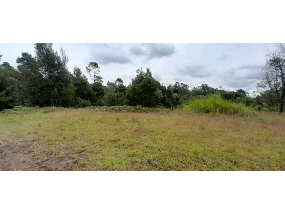 Venta de Lote cerca al aeropuerto de Rionegro — foto 5