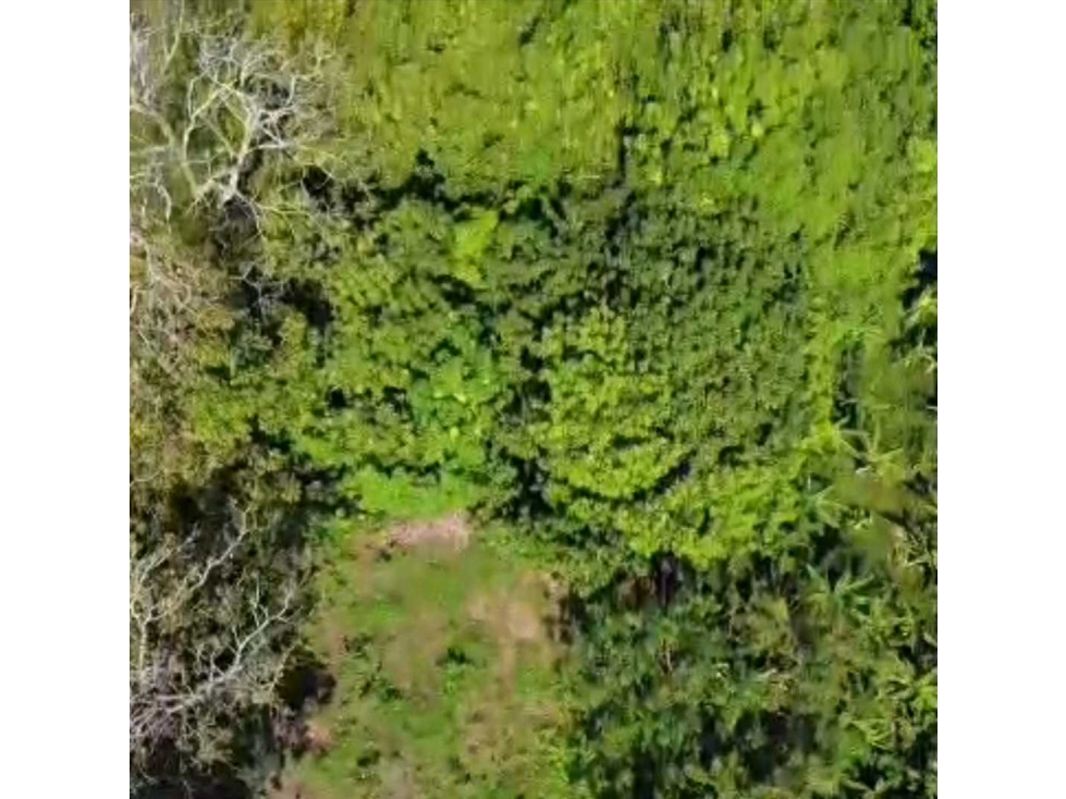 VENTA DE LOTE CERCA AL MAR EN PUERTO ESCONDIDO CÓRDOBA - 4