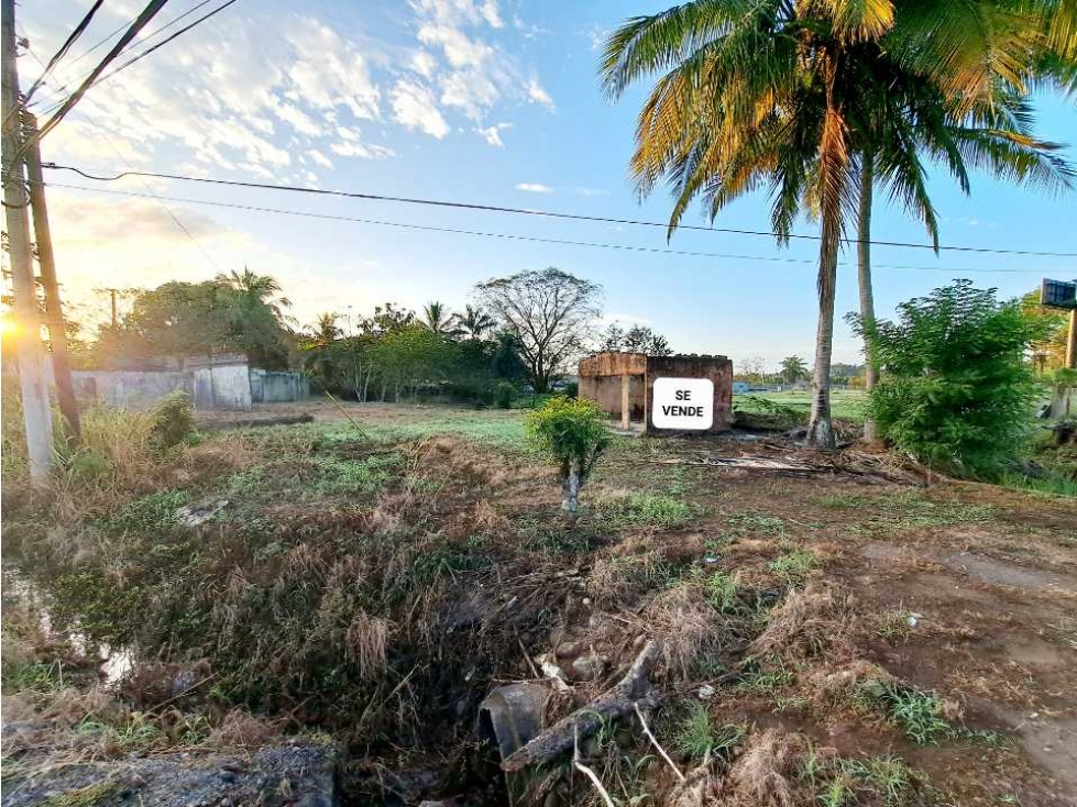 VENTA DE LOTE COMERCIAL - 2