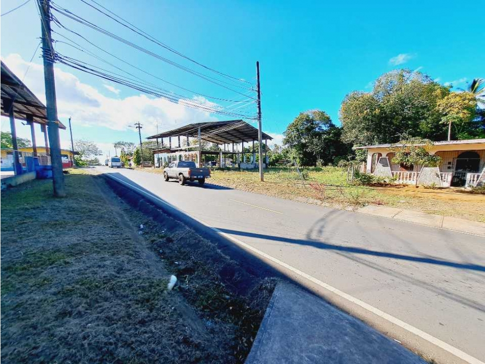 VENTA DE LOTE COMERCIAL CERCANO A TODO - 2