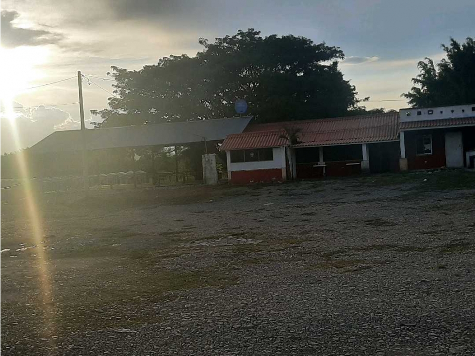 VENTA DE LOTE COMERCIAL EN PENONOME - 2