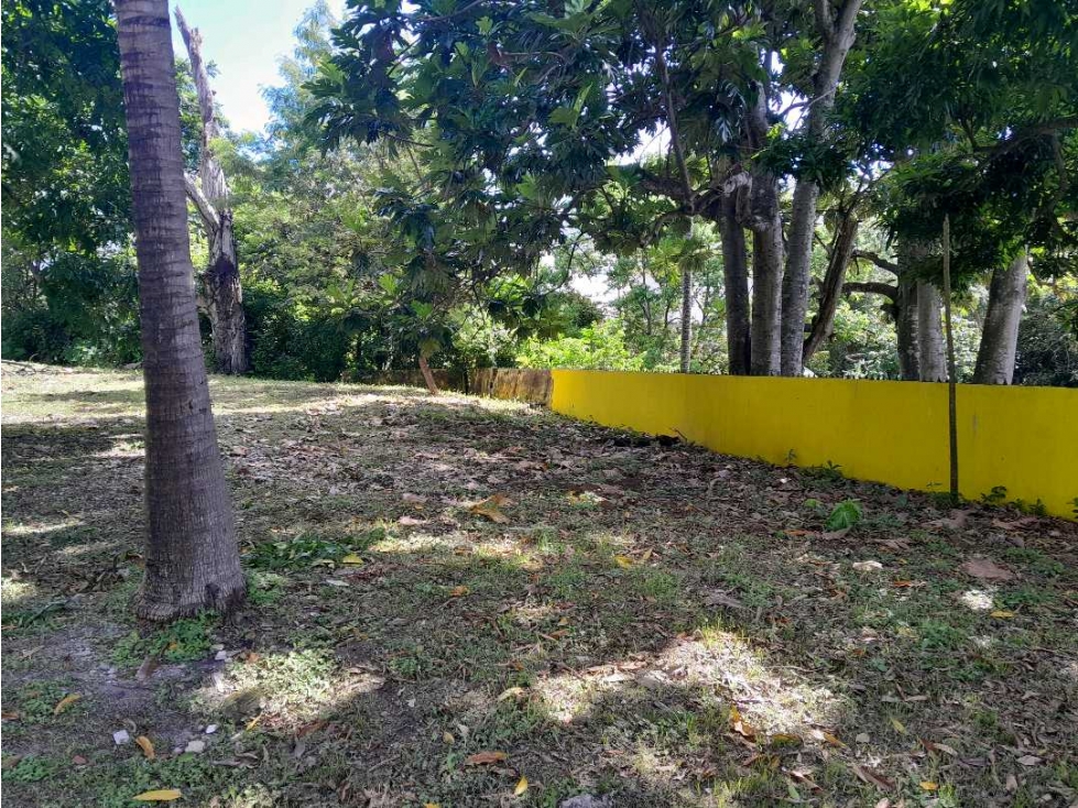 LOTE COMERCIAL A LA VENTA PUEBLO NUEVO - 2