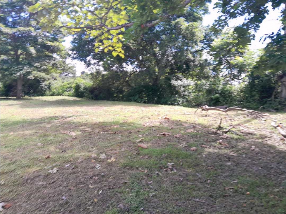 LOTE COMERCIAL A LA VENTA PUEBLO NUEVO - 4