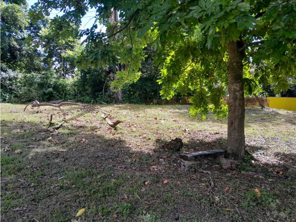 LOTE COMERCIAL A LA VENTA PUEBLO NUEVO - 5