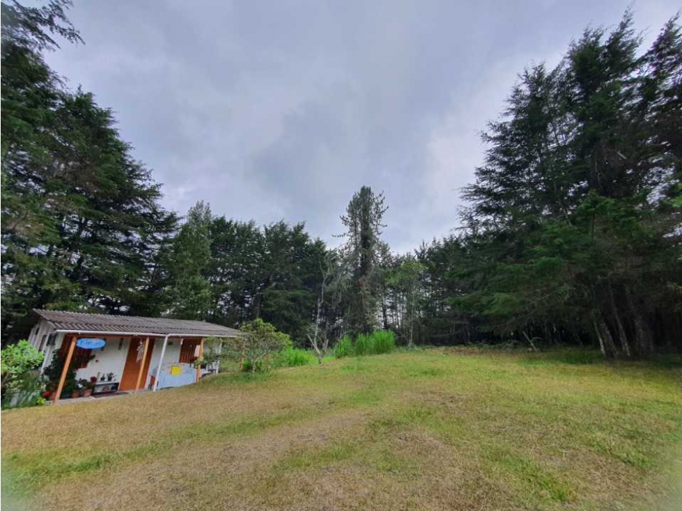 VENTA DE LOTE EN SANTA ELENA CON INMEJORABLE UBICACIÓN — foto 4
