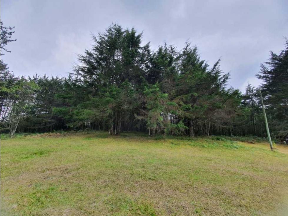 VENTA DE LOTE EN SANTA ELENA CON INMEJORABLE UBICACIÓN — foto 5