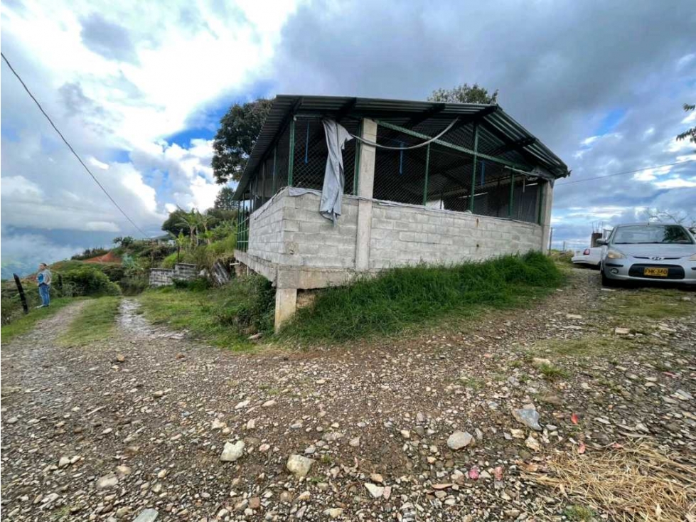 Venta de bodega mas 1.000 adobes - 4