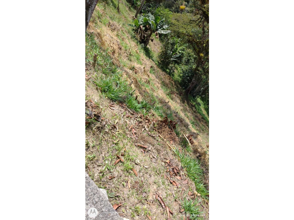 VENTA DE LOTE CON INICIO A 15 MIN DE BARBOSA — foto 5