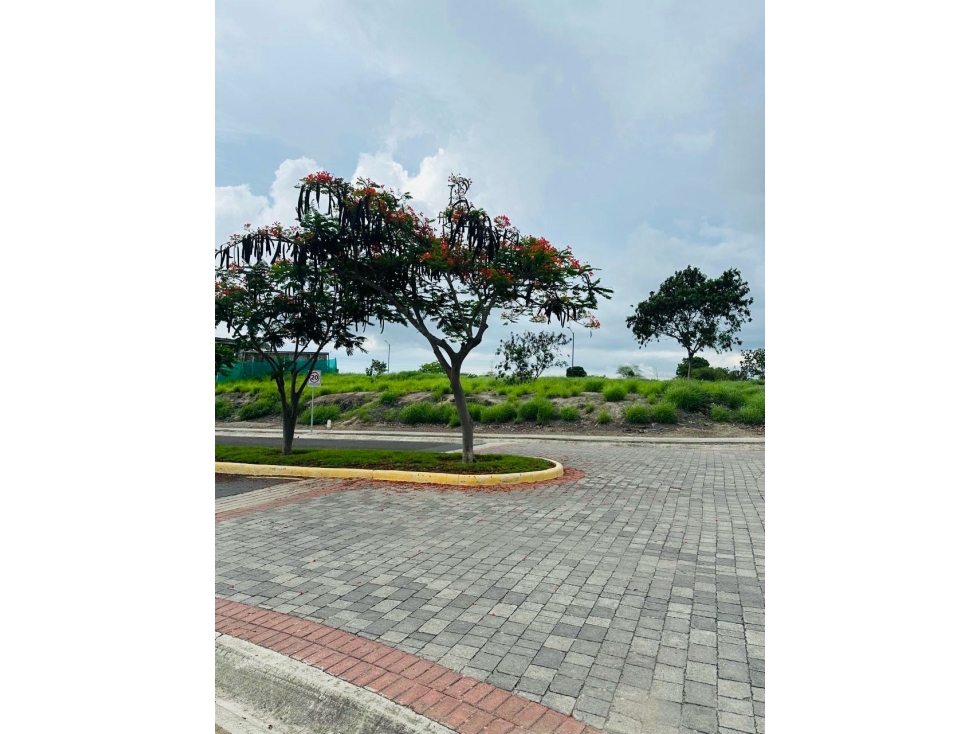 Lote pendiente negativa de venta Urb. Montecristi Golf Club-Manabí. - 6