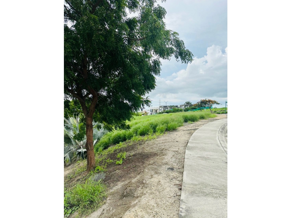 Lote pendiente negativa de venta Urb. Montecristi Golf Club-Manabí. - 5