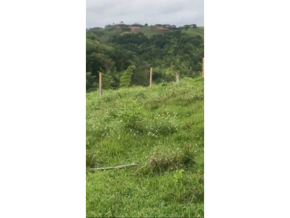 Venta de lote con uso de suelos industrial en La Virginia Risaralda - 3