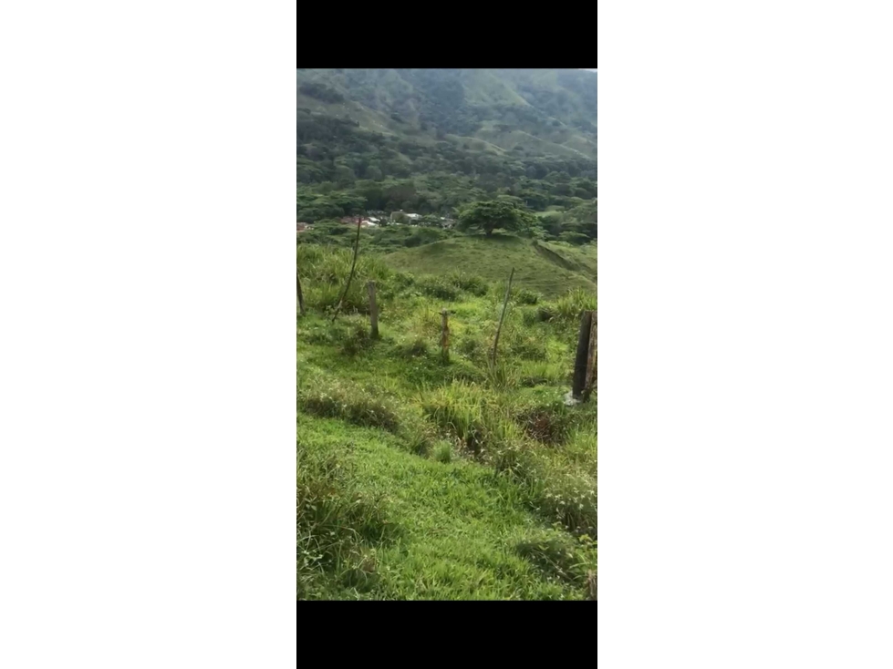 Venta de lote con uso de suelos industrial en La Virginia Risaralda - 2