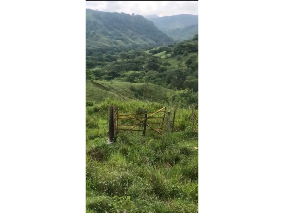 Venta de lote con uso de suelos industrial en La Virginia Risaralda - 6