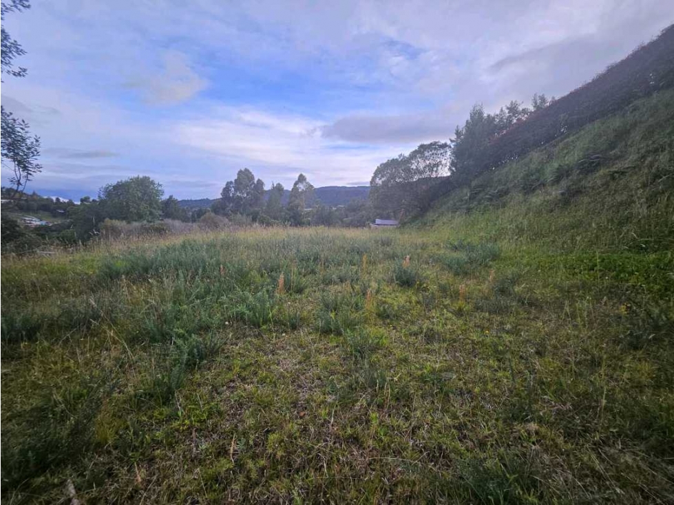 VENTA DE LOTE CON/SIN LICENCIA EN EL ALTO DE LAS PALMAS. — foto 5
