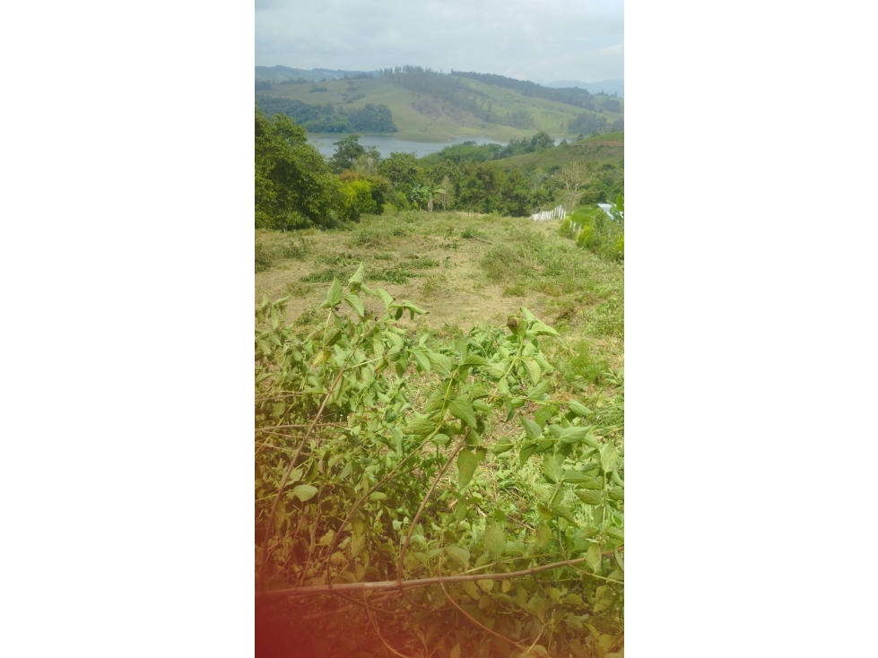 VENTA DE LOTE, DARIÉN LAGO DEL CALIMA,VALLE ,COLOMBIA — foto 2