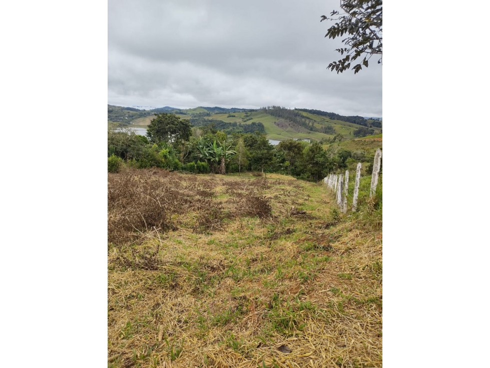 VENTA DE LOTE, DARIÉN LAGO DEL CALIMA,VALLE ,COLOMBIA — foto 3