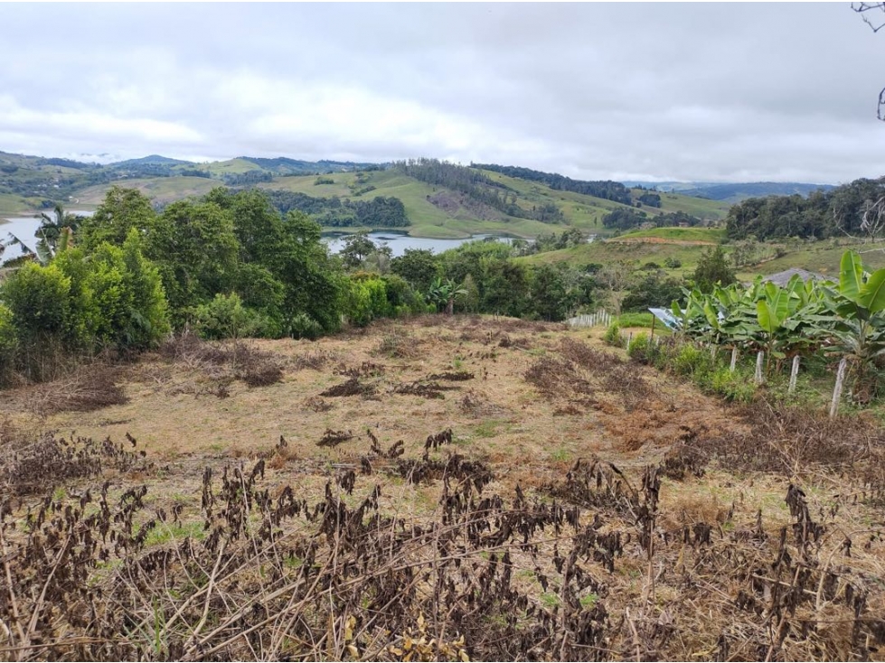 VENTA DE LOTE, DARIÉN LAGO DEL CALIMA,VALLE ,COLOMBIA — foto 4