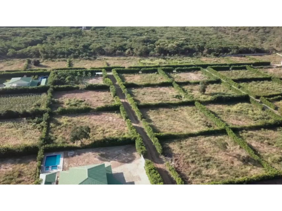 Venta de lote de 1.000 metros cuadrados en Bahìa Concha Santa Marta — foto 3