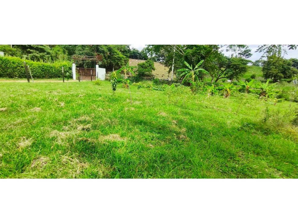 Venta de lote de 1612 M2 en 349 mill en La Mesa Cund, terreno plano — foto 4