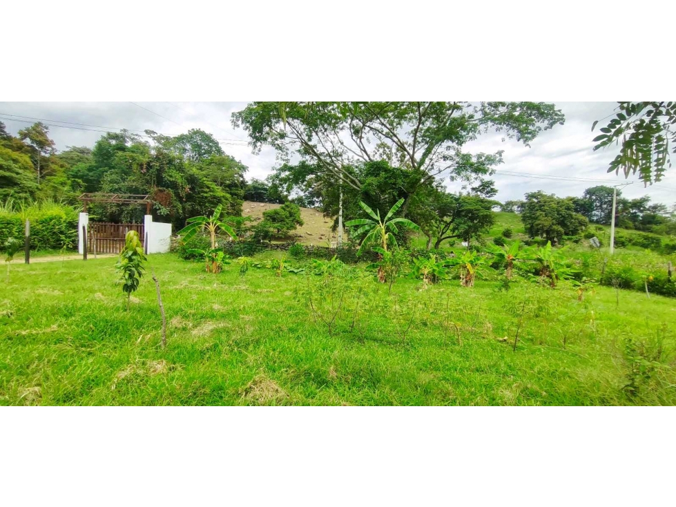 Venta de lote de 1612 M2 en 349 mill en La Mesa Cund, terreno plano — foto 6