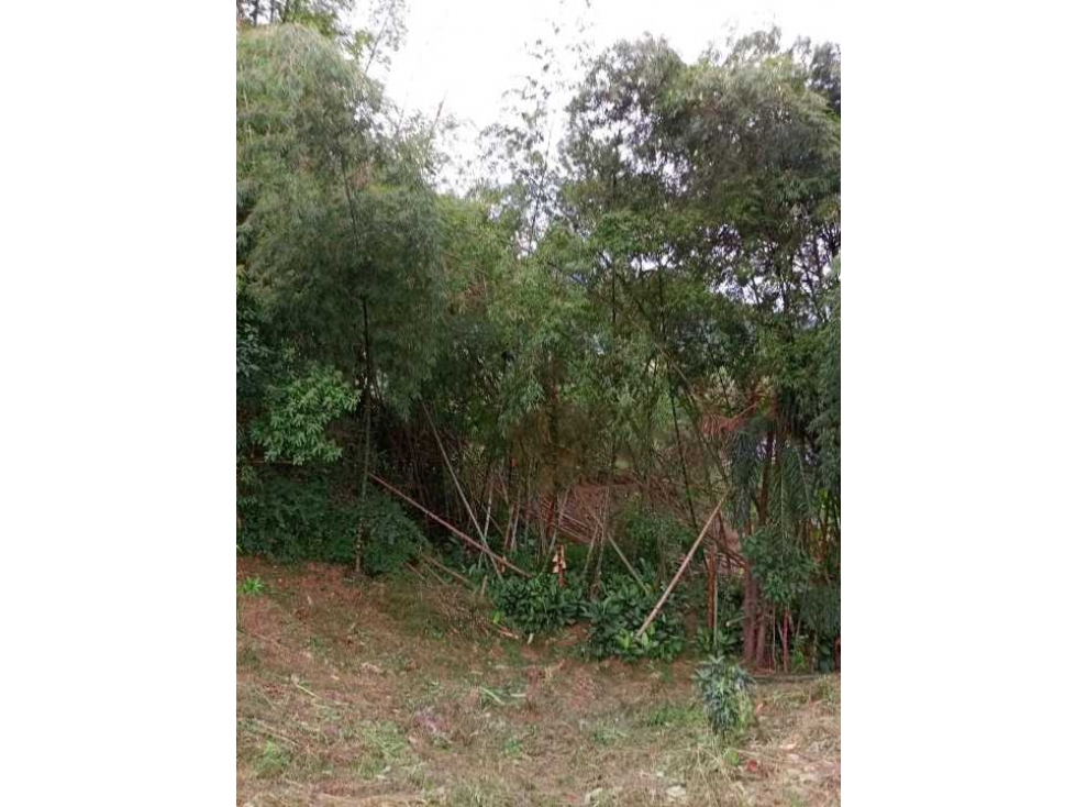 Venta de lote de 2110 M2 en 120 mill en La Mesa Cund