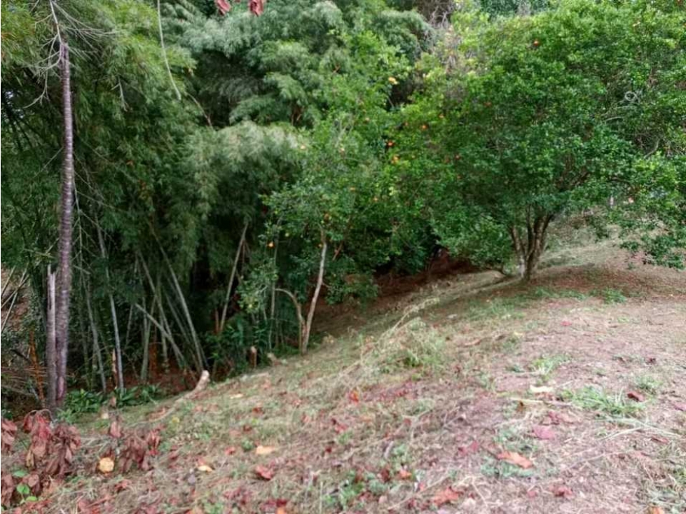 Venta de lote de 2110 M2 en 120 mill en La Mesa Cund — foto 2