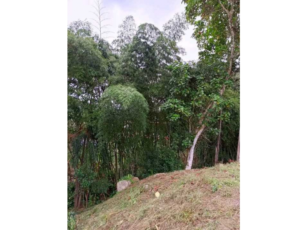 Venta de lote de 2110 M2 en 120 mill en La Mesa Cund — foto 6