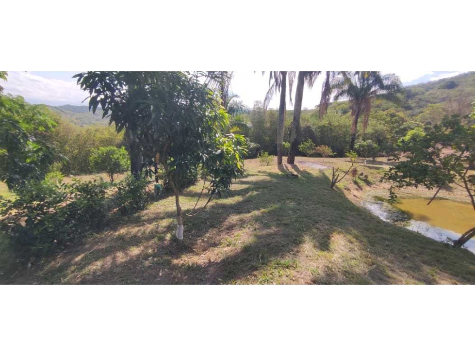 Venta de lote de 2500 M2 en 250 mill con laguna en San joaquin La Mesa — foto 3