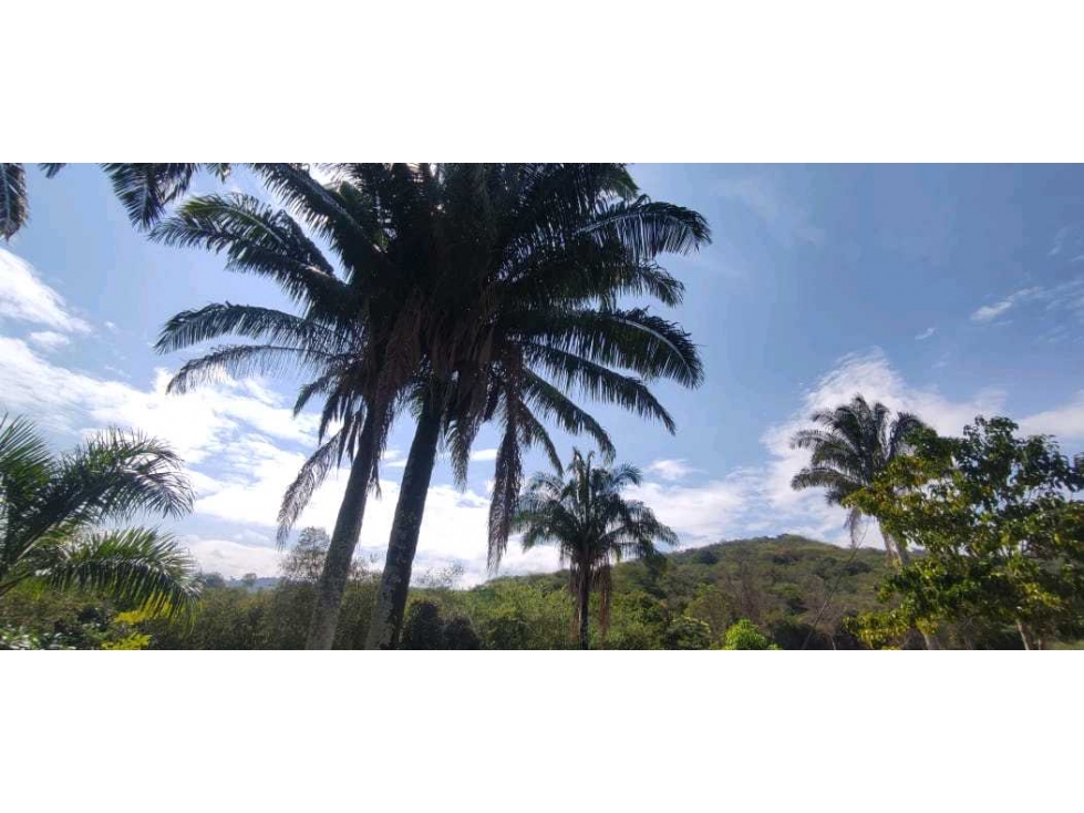 Venta de lote de 2500 M2 en 250 mill con laguna en San joaquin La Mesa — foto 4