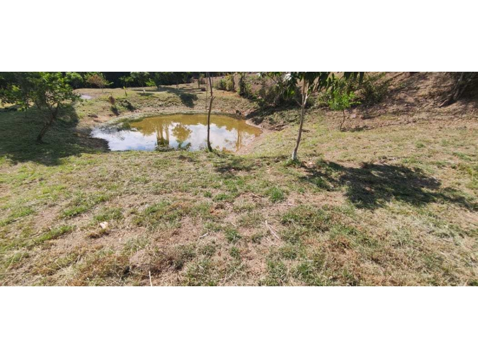 Venta de lote de 2500 M2 en 250 mill con laguna en San joaquin La Mesa — foto 5