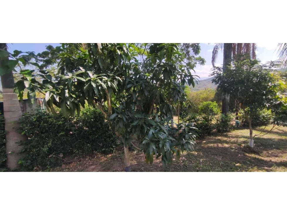 Venta de lote de 2500 M2 en 250 mill con laguna en San joaquin La Mesa — foto 6