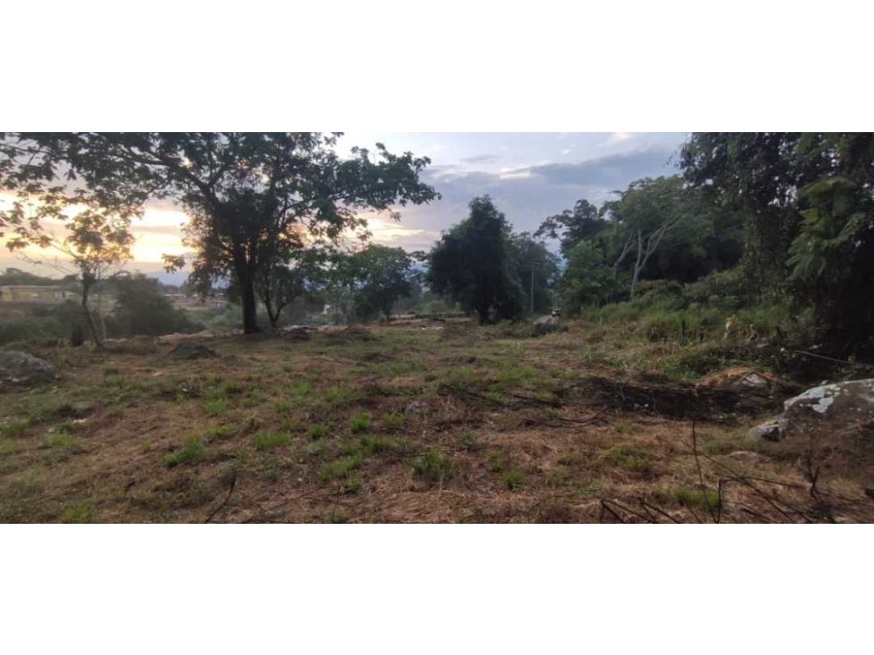 Venta de lote de 1600 M2 en La Mesa Cund Colombia, 250 mill negociabl — foto 2