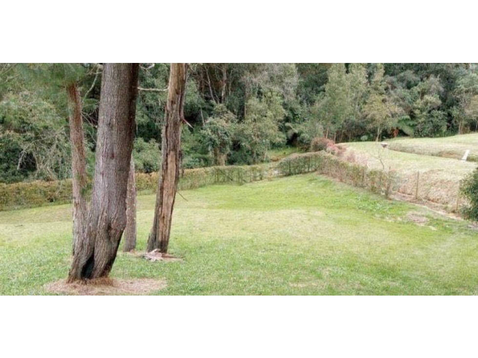 Venta de Lote de 3.500 m² en Parc. Cerrada | Alto Palmas | Mercajuste — foto 2