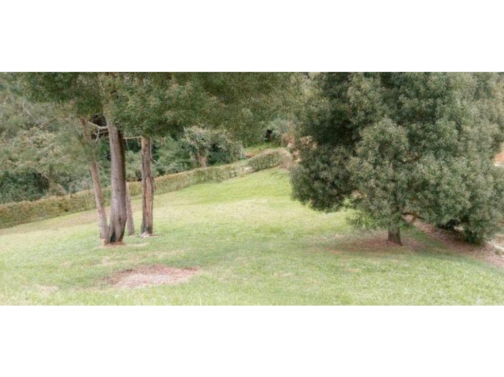 Venta de Lote de 3.500 m² en Parc. Cerrada | Alto Palmas | Mercajuste — foto 6