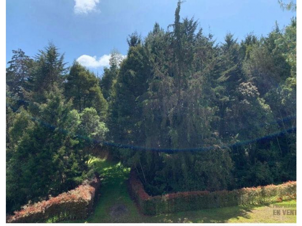 Venta de Lote de 3.500 m² en Parc. Cerrada | Alto Palmas | Mercajuste — foto 3