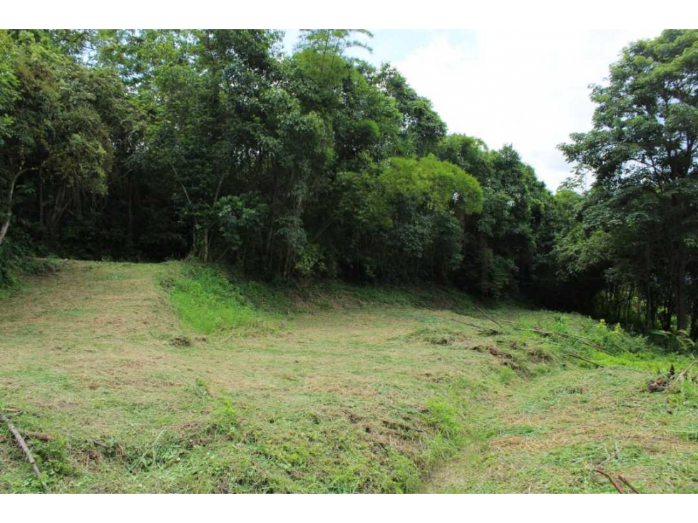 Venta de lote de 4506 M2 en 190 mill en San Joaquín - La Mesa Cund